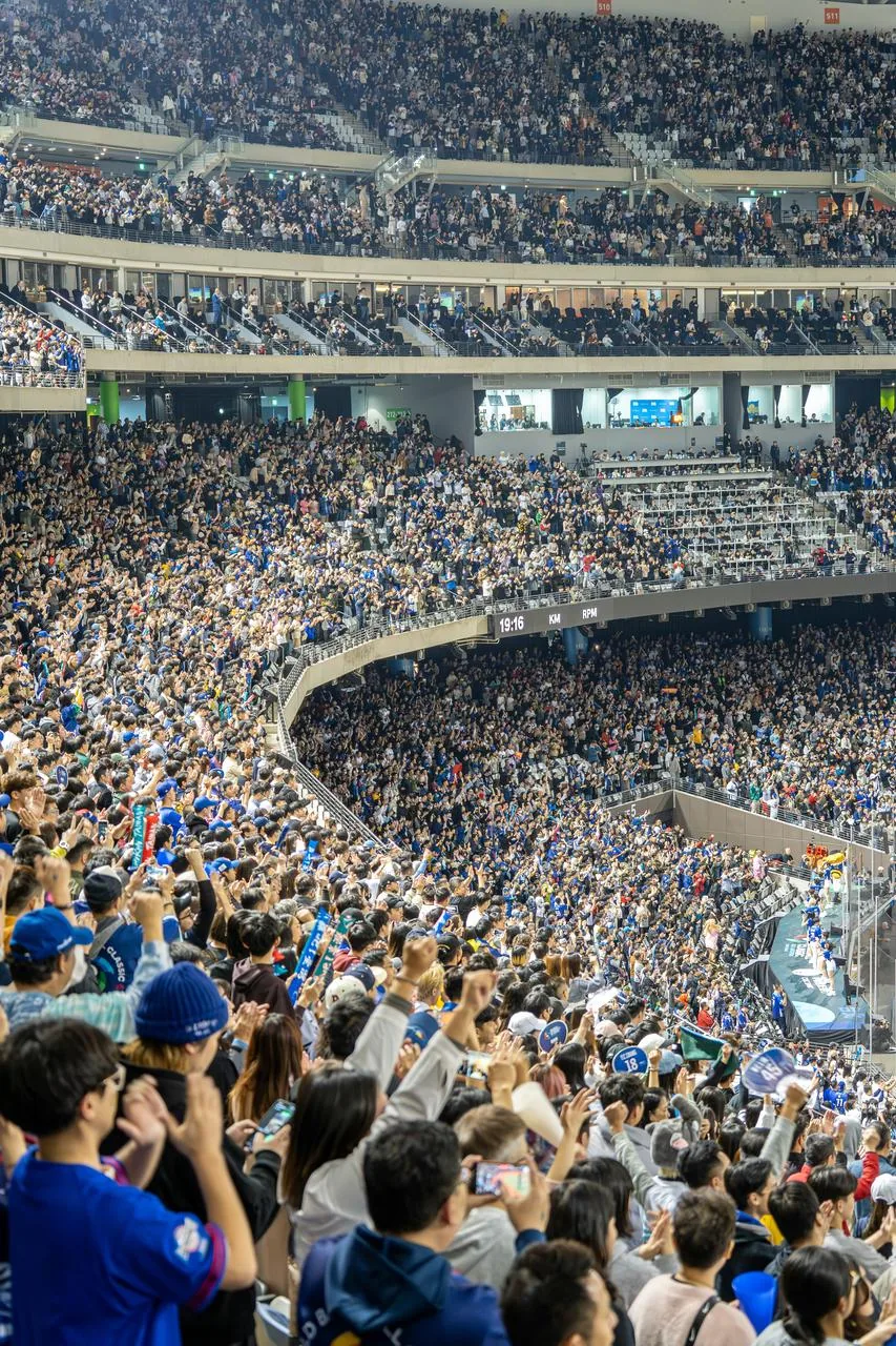 Pro Baseball: A National Obsession 